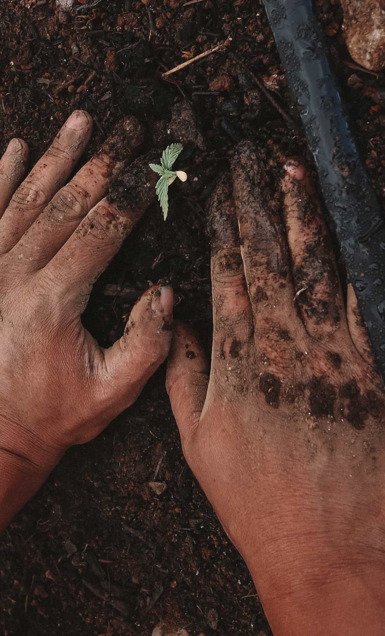 generations-experience-2