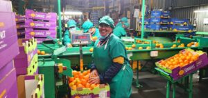 Vandenberg Optimistic for its Summer Citrus Season