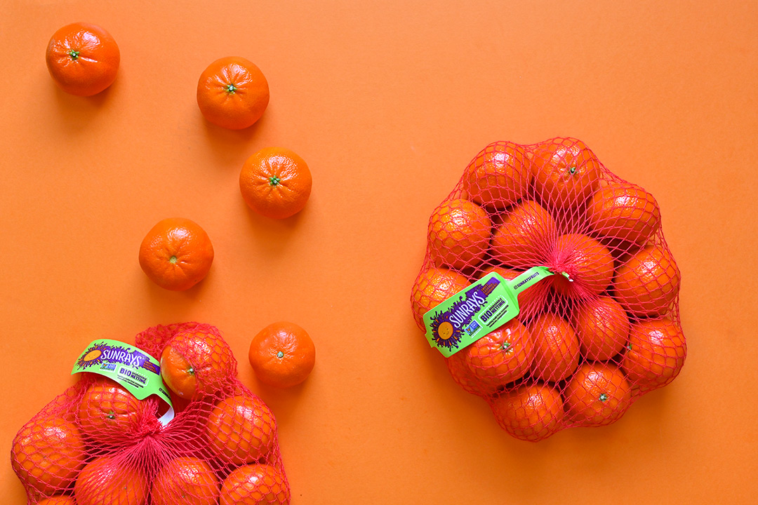 SUNRAYS is a Finalist in 2021 Eco-Excellence Awards