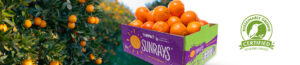 Jac. Vandenberg Announces First Certified Sustainably Grown® SUNRAYS® Mandarins