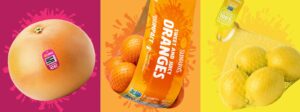 Jac. Vandenberg Inc. Expands Sunrays® Into Full Citrus Category